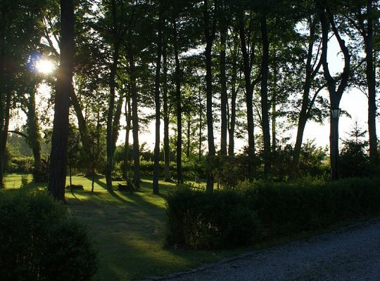 Building and surroundings