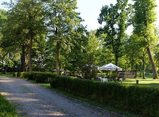 Building and surroundings