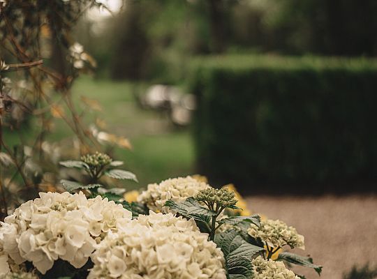 Building and surroundings