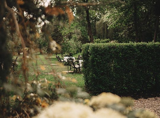 Building and surroundings
