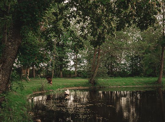 Building and surroundings
